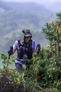 BIB: 
                            <button type="button" onclick="openModal(24766068)" class="btn btn-primary btn-sm float-right btn-popup" data-toggle="modal" data-target=".modal-high-quality">
                        <i class="fas fa-shopping-cart"></i> Add to Cart
                    </button>
                                            <button type="button" onclick="isThisMe(24766068, true)" class="btn btn-success btn-sm float-right btn-popup btn-isme hidden" data-toggle="tooltip" data-placement="bottom" title="นี่คือรูปของคุณใช่ไหม คลิกที่นี่เพื่อเอาเข้าอัลบั้ม">
                        <i class="fas fa-plus"></i> Add to album
                    </button>
                    <button type="button" onclick="isThisMe(24766068, false)" class="btn btn-warning btn-sm float-right btn-popup btn-isnotme hidden">
                        <i class="fas fa-ban"></i> Remove from album
                    </button>